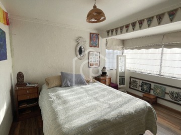 Imagen 11