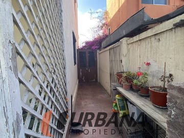 Imagen 12