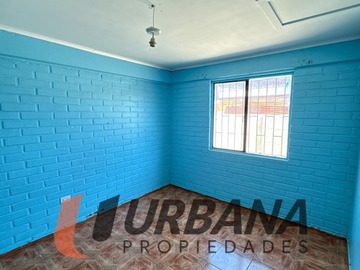 Imagen 7
