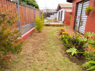 Imagen 15