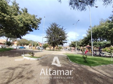 Imagen 29