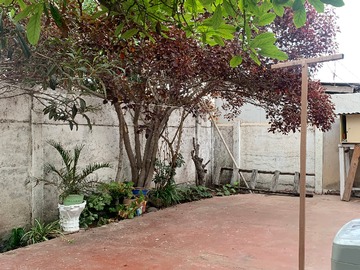 Imagen 15
