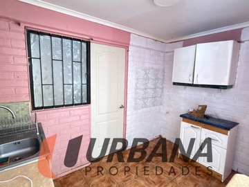 Imagen 13