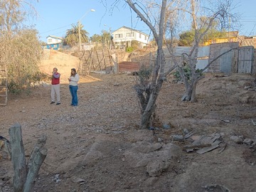 Imagen 7