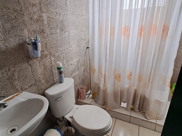 Imagen 6