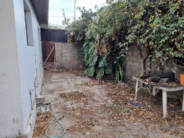 Imagen 15