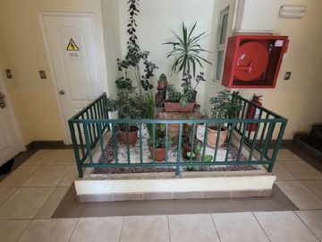 Imagen 6