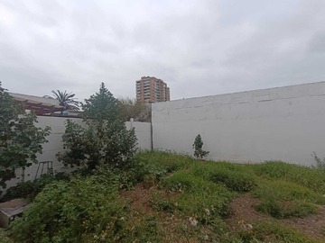 Imagen 21