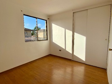 Imagen 19