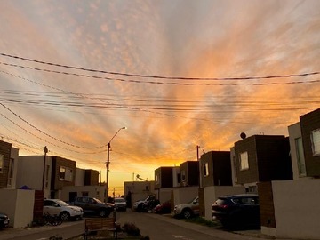 Imagen 10