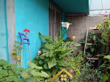 Imagen 7