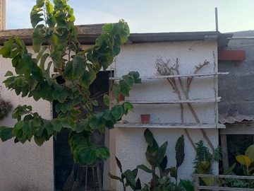 Bodega patio posterior