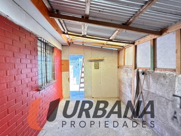 Imagen 5