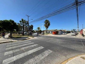 Imagen 11