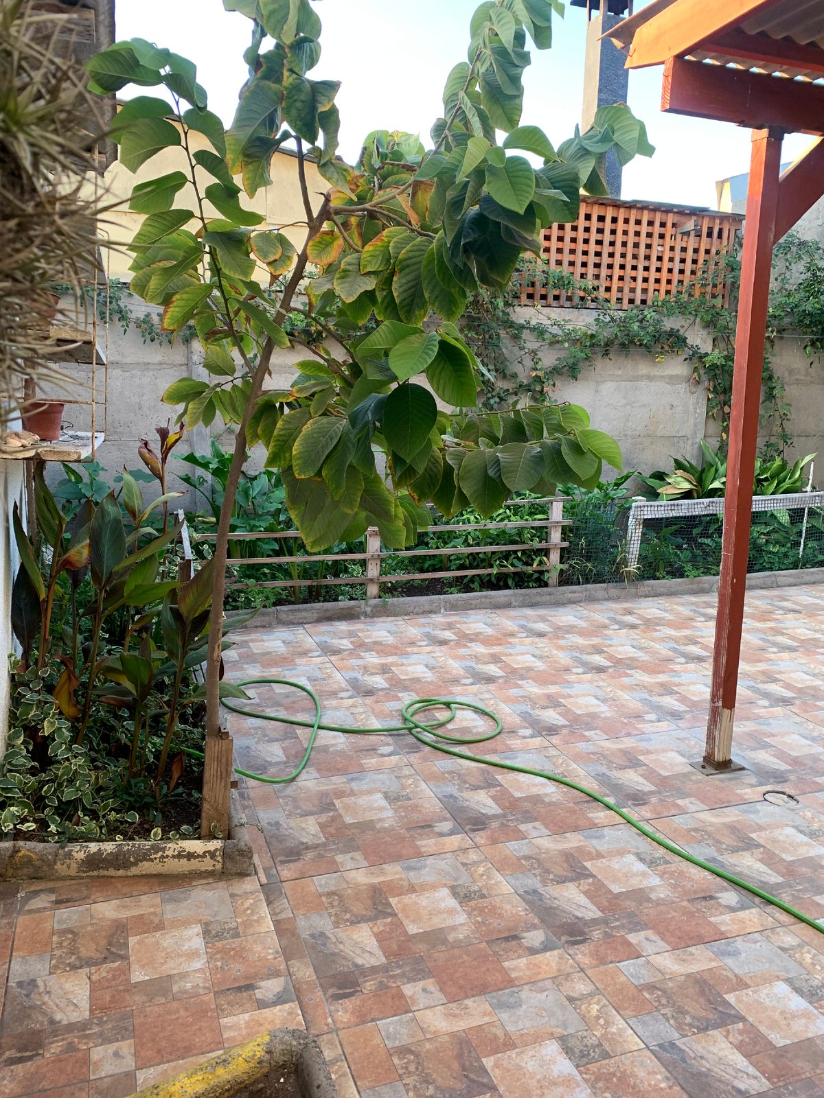 Patio posterior