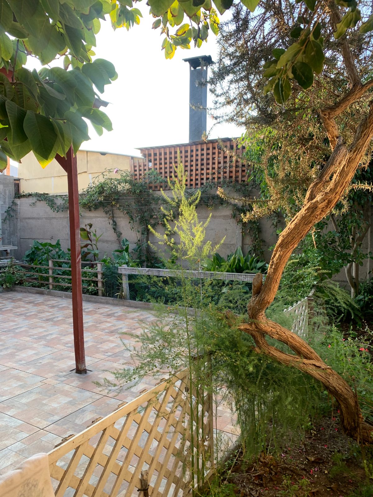 Patio posterior