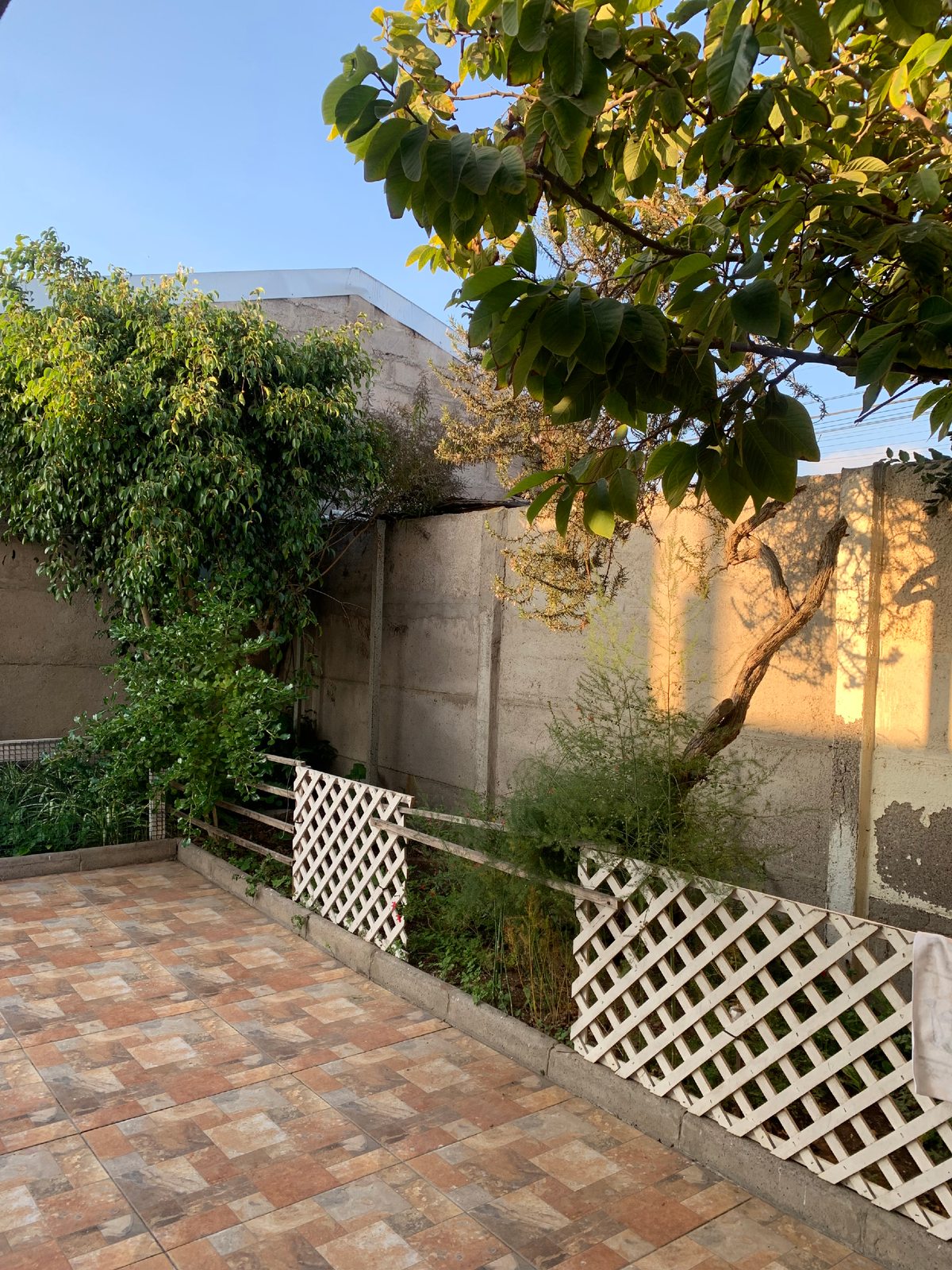 Patio posterior