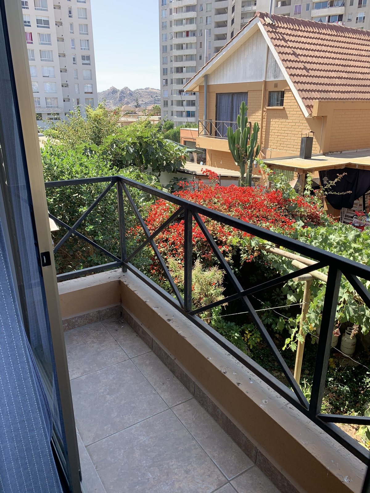Terraza