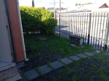 Imagen 12