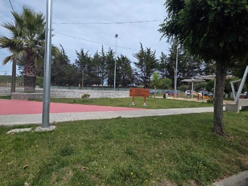 Imagen 19