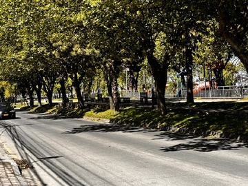 Imagen 22