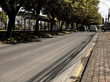 Imagen 20