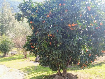 Imagen 22