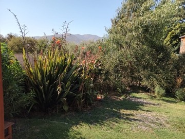 Imagen 5