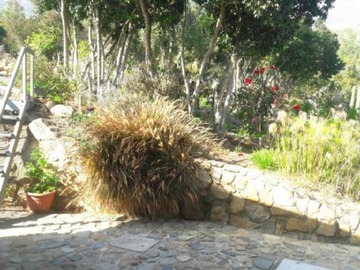 Venta / Casa / Curacaví