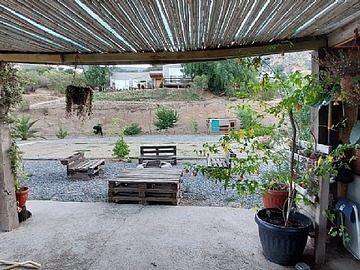 Imagen 13