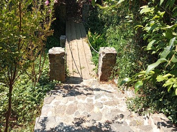 Imagen 25