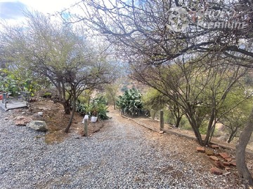 Imagen 23