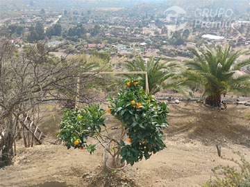 Imagen 25
