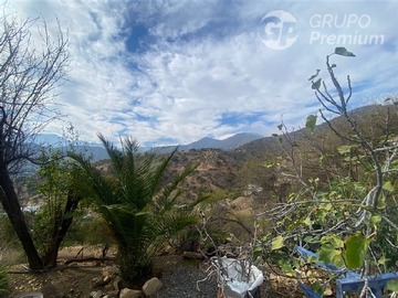 Imagen 21