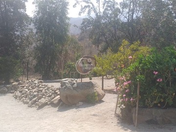 Imagen 23