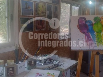 Imagen 13
