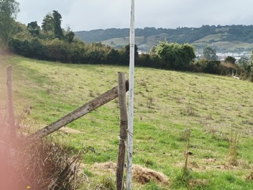 Imagen 12