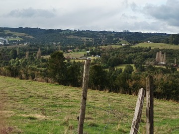 Imagen 5