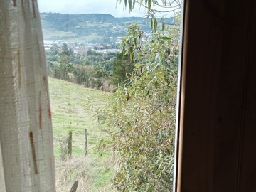 Imagen 6