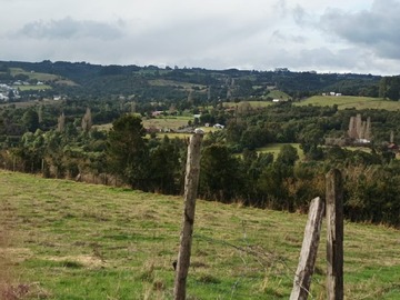 Imagen 10