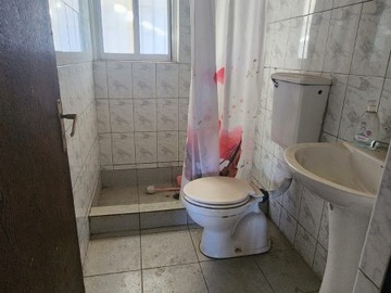Imagen 6