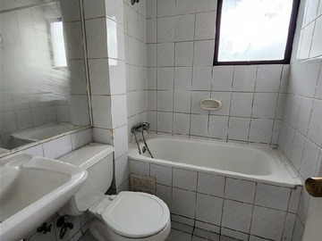 Imagen 11