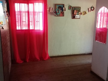 Imagen 5