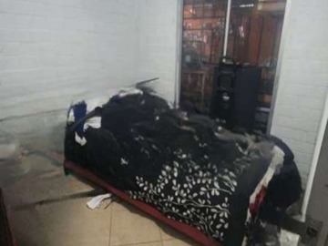 Imagen 13