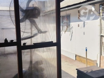 Imagen 11