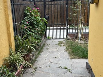 Imagen 5