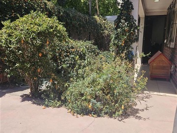 Venta / Casa / El Bosque