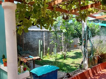 Imagen 8
