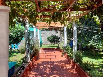 Imagen 7