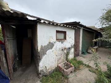 Imagen 5